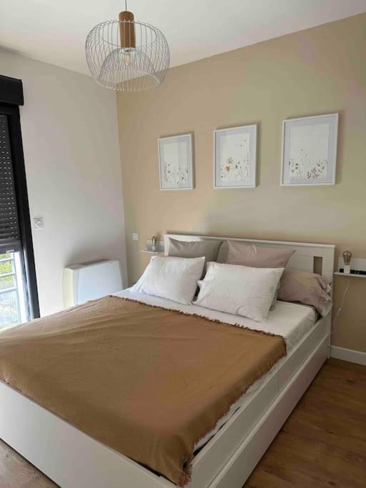 Ferienwohnung Magnifique T2 Ajaccio Ajaccio  Exterior foto